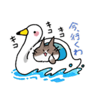 3本足のトム（個別スタンプ：40）