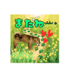 柴犬の丸【使いやすい会話スタンプ】（個別スタンプ：29）