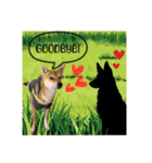 柴犬の丸【使いやすい会話スタンプ】（個別スタンプ：31）
