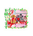 ティーカッププードル ティアラ＆プティ 1（個別スタンプ：13）
