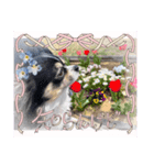愛犬チョコちゃんスタンプ3！（個別スタンプ：5）