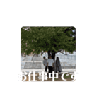 よく見たら動いてるマスターキー（個別スタンプ：7）