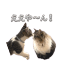 ケイとカイ 4（個別スタンプ：11）