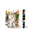ラブリー♡キュート♡動く猫♡敬語♡挨拶（個別スタンプ：11）