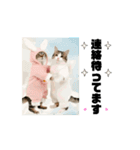 ラブリー♡キュート♡動く猫♡敬語♡挨拶（個別スタンプ：12）