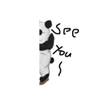 WarupanBoy（個別スタンプ：1）