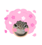 やもやもスタンプ①（個別スタンプ：2）