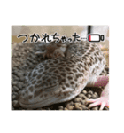 やもやもスタンプ①（個別スタンプ：3）