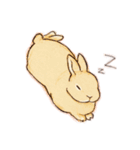 うさうさファミリー（個別スタンプ：5）