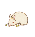 うさうさファミリー（個別スタンプ：7）