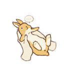 うさうさファミリー（個別スタンプ：15）