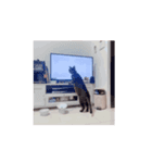 動くれおくん。（個別スタンプ：8）