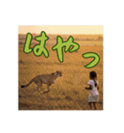 子どもたちのスタンプで元気に（個別スタンプ：36）