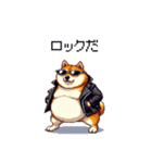 ロックでハードな太っちょ柴犬（個別スタンプ：1）