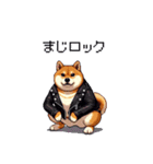 ロックでハードな太っちょ柴犬（個別スタンプ：4）