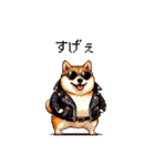 ロックでハードな太っちょ柴犬（個別スタンプ：8）
