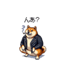 ロックでハードな太っちょ柴犬（個別スタンプ：11）