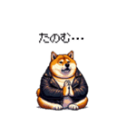 ロックでハードな太っちょ柴犬（個別スタンプ：14）