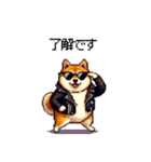 ロックでハードな太っちょ柴犬（個別スタンプ：17）