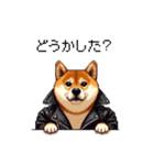 ロックでハードな太っちょ柴犬（個別スタンプ：22）