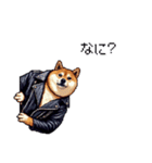 ロックでハードな太っちょ柴犬（個別スタンプ：24）