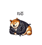 ロックでハードな太っちょ柴犬（個別スタンプ：29）