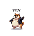 ロックでハードな太っちょ柴犬（個別スタンプ：37）