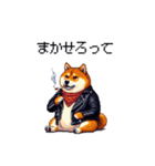 ロックでハードな太っちょ柴犬（個別スタンプ：40）