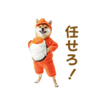 食べ物コスプレ犬！（個別スタンプ：8）