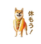 食べ物コスプレ犬！（個別スタンプ：29）