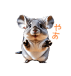 ハッピーアニマル_チンチラ1（個別スタンプ：1）
