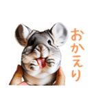 ハッピーアニマル_チンチラ1（個別スタンプ：3）