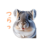 ハッピーアニマル_チンチラ1（個別スタンプ：25）