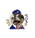 ペット大集合ver.1（個別スタンプ：8）