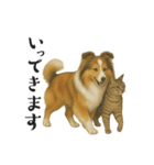 【日常】うちの犬と猫！（個別スタンプ：6）