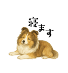 【日常】うちの犬と猫！（個別スタンプ：9）
