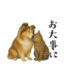 【日常】うちの犬と猫！（個別スタンプ：14）