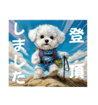 山好きの人が使うスタンプ 登山犬（個別スタンプ：1）