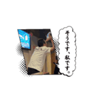 動くぞKC（個別スタンプ：8）