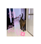 れおちのスタンプ5。（個別スタンプ：4）