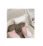 れおちのスタンプ5。（個別スタンプ：7）