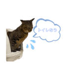 れおたんスタンプ2。（個別スタンプ：4）