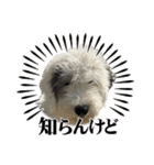 めるちゃんの日常！！（個別スタンプ：4）