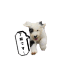 めるちゃんの日常！！（個別スタンプ：8）