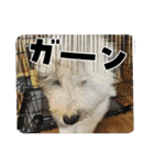 めるちゃんの日常！！（個別スタンプ：14）