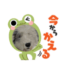 めるちゃんの日常！！（個別スタンプ：18）