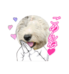 めるちゃんの日常！！（個別スタンプ：24）