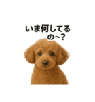 リアルなトイプードルの日常スタンプ♡（個別スタンプ：3）