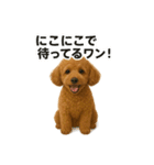 リアルなトイプードルの日常スタンプ♡（個別スタンプ：5）