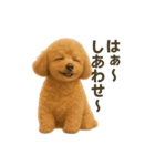 リアルなトイプードルの日常スタンプ♡（個別スタンプ：13）